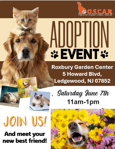 roxbury garden center adoption event 2025