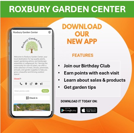 flyer for app