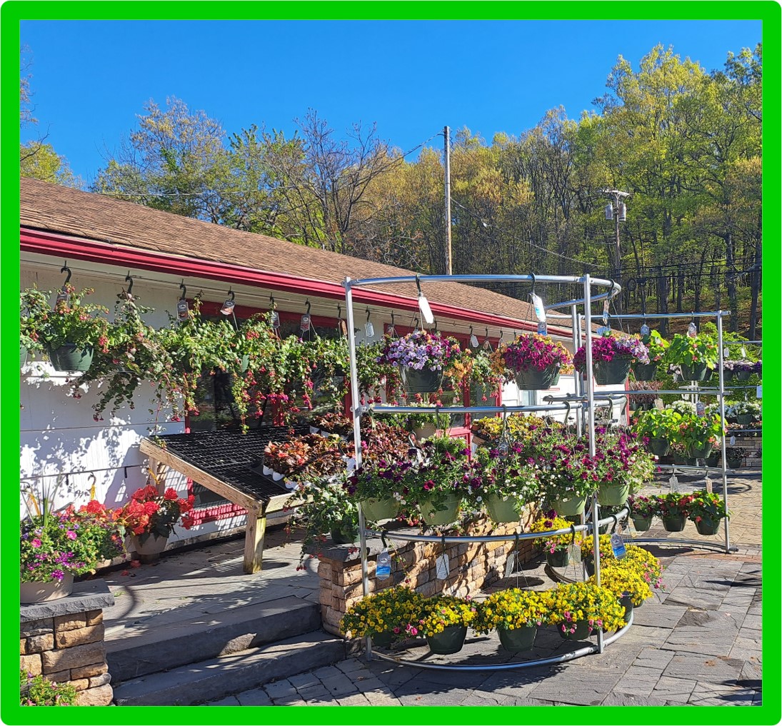 rox garden center pic 2