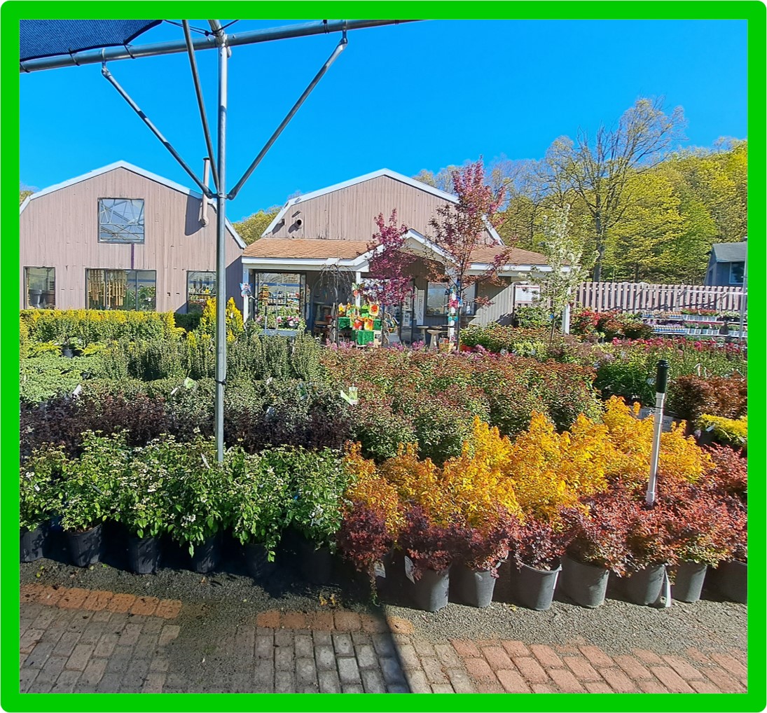 rox garden center pic 3
